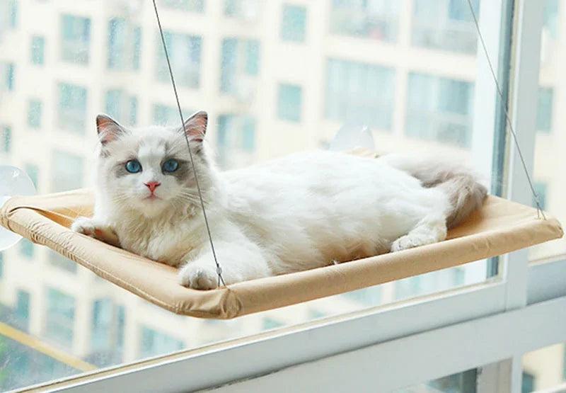 Cama de Janela Suspensa para Gatos